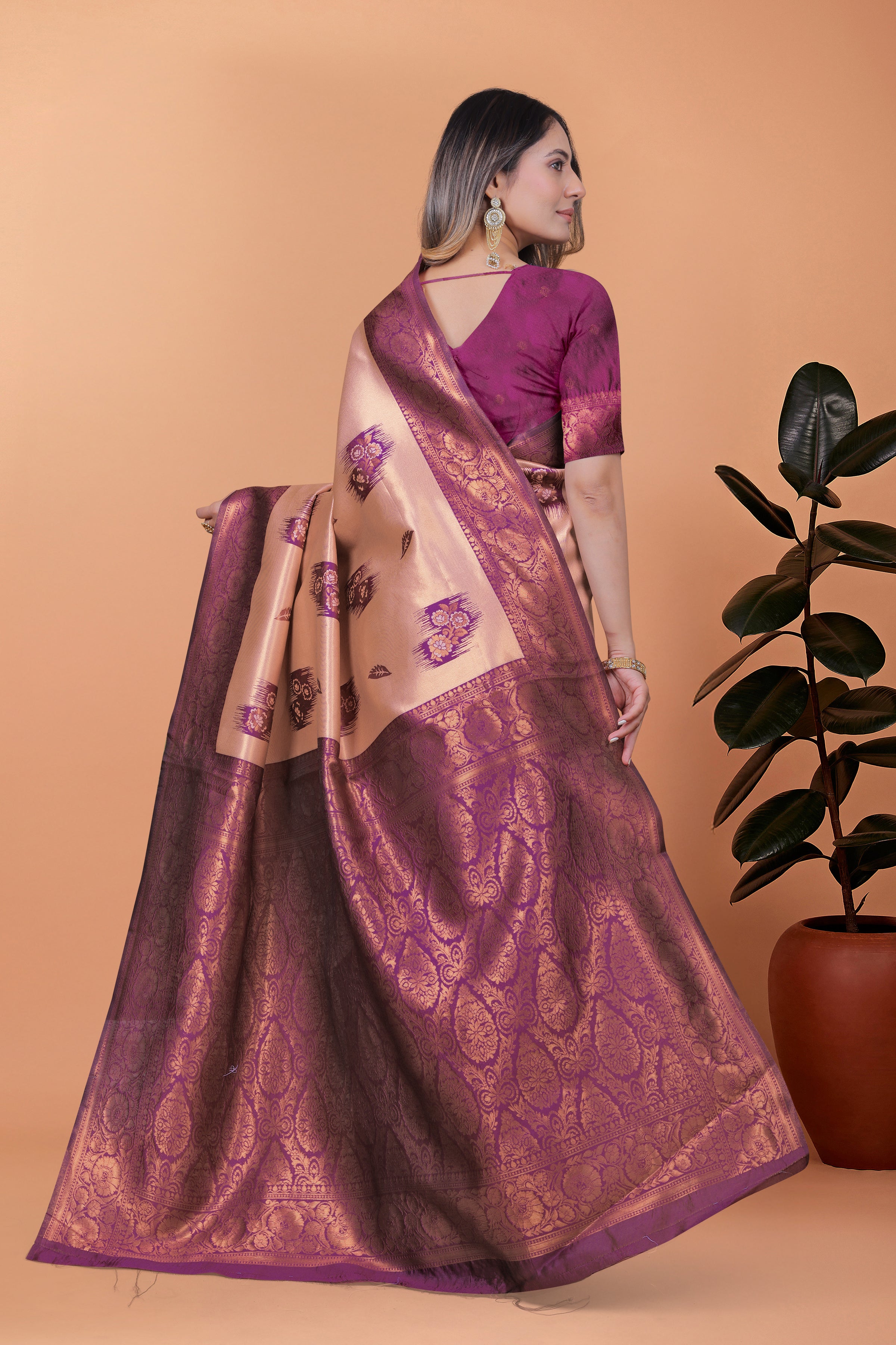 Banarasi Silk Saree with Zari Embellishment with 8 color option ✨💙💚